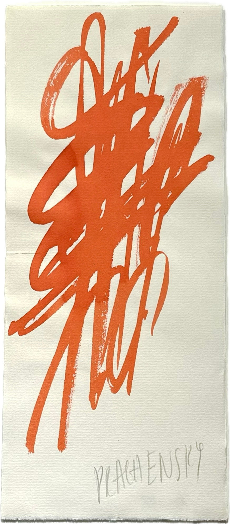Untitled (2024) by Markus Prachensky – A signed ink on paper artwork measuring 24.5 x 10 cm. The piece features dynamic, abstract forms and lines, showcasing Prachensky's signature style of expressive marks and minimalist composition.